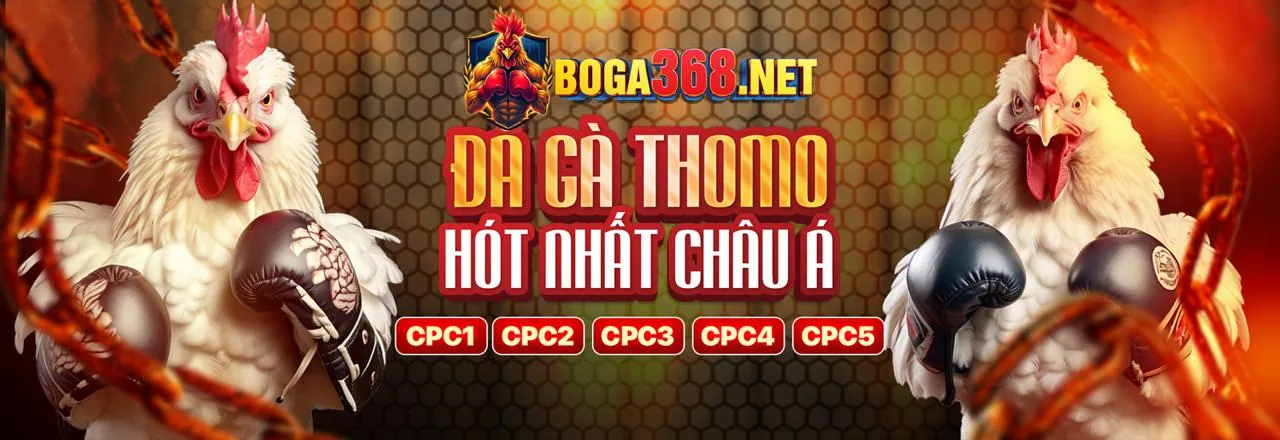 Đấu trường đá gà trực tuyến sôi động tại BJ27 Win 2026